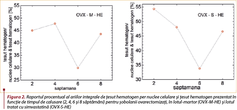 ​Figura 2. Raportul procentual al ariilor integrale de ţesut hematogen per nuclee celulare şi ţesut h​