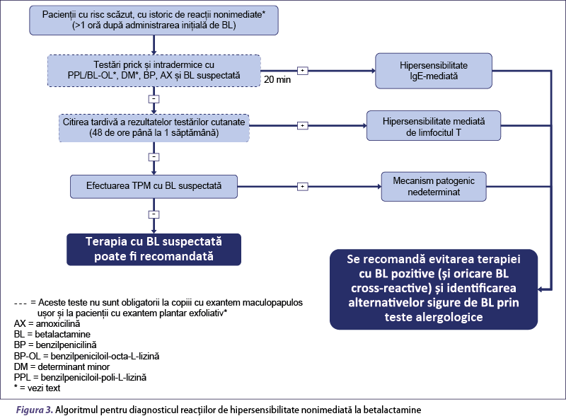 Figura 3. Algoritmul pentru diagnosticul reacţiilor de hipersensibilitate nonimediată la betalactamine 