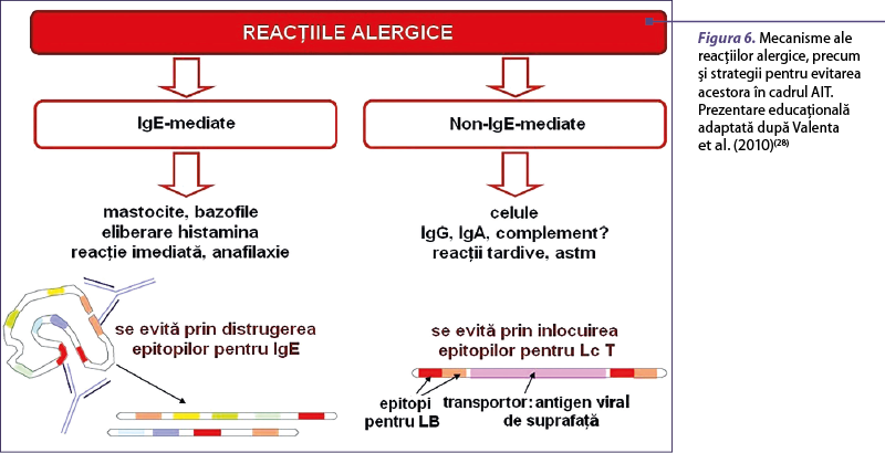 Figura 6. Mecanisme ale reacţiilor alergice, precum şi strategii pentru evitarea acestora în cadrul AIT. Prezentare educaţională adaptată după Valenta  et al. (2010)(28)