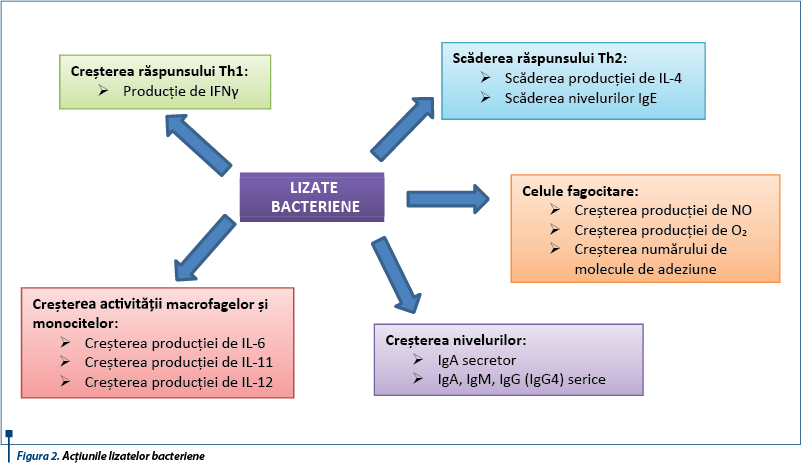 Figura 2. Acţiunile lizatelor bacteriene