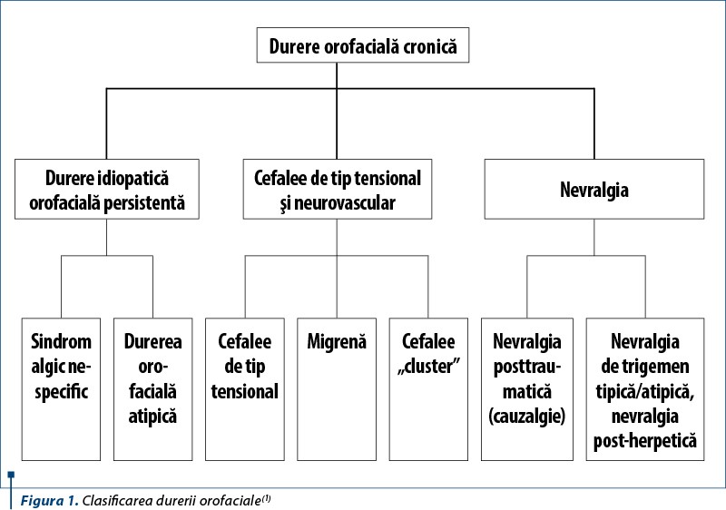Figura 1. Clasificarea durerii orofaciale(1)