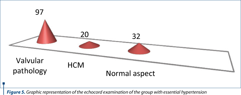 Figure 5. Graphic representation of the echocord examination of the group with essential hypertension