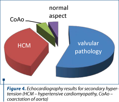 Figure 4. Echocardiography results for secondary hyper­ten­sion (HCM – hypertensive cardiomyopathy, CoAo – coarc­tation of aorta) 