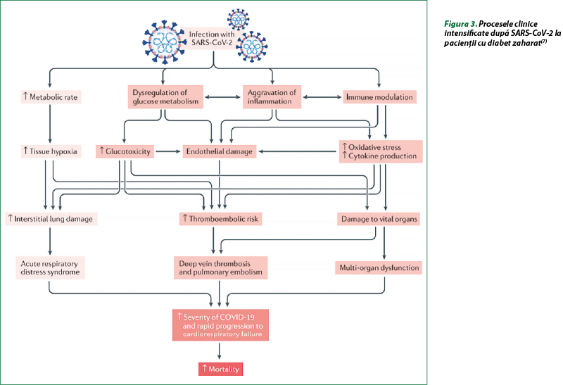 Figura 3. Procesele clinice intensificate după SARS-CoV-2 la pacienţii cu diabet zaharat(7)