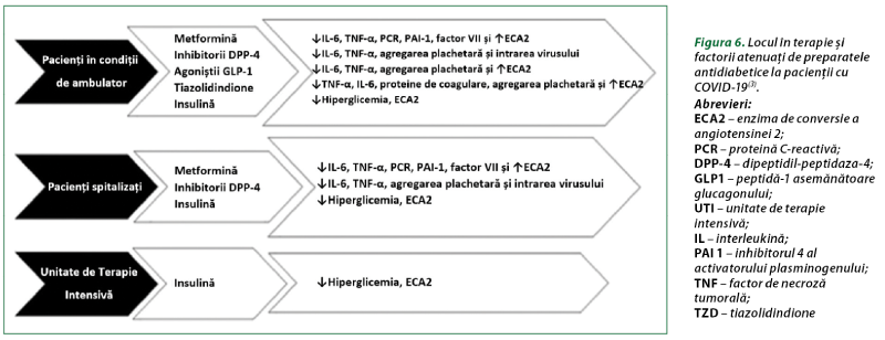 Figura 6. Locul în terapie şi factorii atenuaţi de preparatele antidiabetice la pacienţii cu COVID-19(3). Abrevieri:  ECA2 – enzima de conversie a angiotensinei 2;  PCR – proteină C-reactivă;  DPP-4 – dipeptidil-peptidaza-4;  GLP1 – peptidă-1 asemănătoare glucagonului;  UTI – unitate de terapie intensivă;  IL – interleukină;  PAI 1 – inhibitorul 4 al activatorului plasminogenului;  TNF – factor de necroză tumorală;  TZD – tiazolidindione