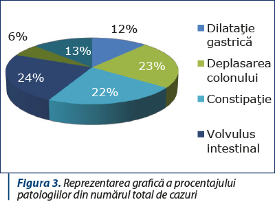 Figura 3. Reprezentarea grafică a procentajului patologiilor din numărul total de cazuri