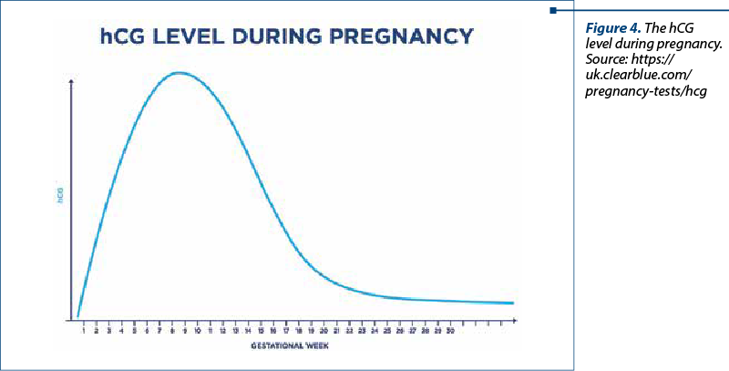 Figure 4. The hCG level during pregnancy. Source: https://uk.clearblue.com/pregnancy-tests/hcg