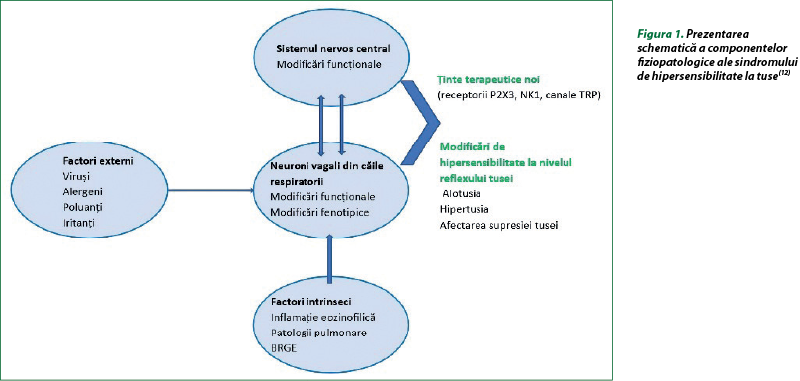 Figura 1. Prezentarea schematică a componentelor fiziopatologice ale sindromului de hipersensibilitate la tuse(12)