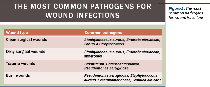Figure 2. The most common pathogens  for wound infections