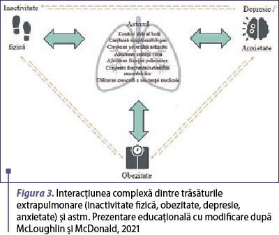 Figura 3. Interacţiunea complexă dintre trăsăturile extrapulmonare (inactivitate fizică, obezitate, depresie, anxietate) şi astm. Prezentare educaţională cu modificare după McLoughlin şi McDonald, 2021
