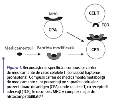 Figura 1. Figura 1. Recunoaşterea specifică a compuşilor carrier de medicamente de către celulele T (conceptul haptenă/prohaptenă). Compuşii carrier de medicamente/metaboliţii de medicamente sunt prezentaţi pe suprafaţa celulelor prezentatoare de antigen (CPA), unde celulele T, cu receptorii adecvaţi (TCR), le recunosc. MHC = complex major de histocompatibilitate(1)