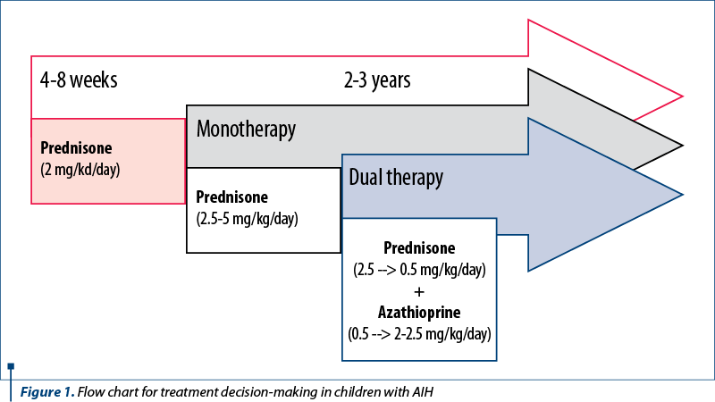Figure 1. Flow chart for treatment decision-making in children with AIH