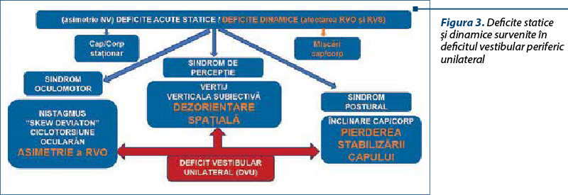 Figura 3. Deficite statice şi dinamice survenite în deficitul vestibular periferic unilateral