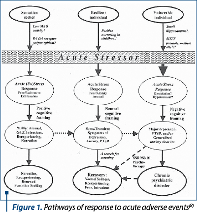 Figure 1. Pathways of response to acute adverse events(8)