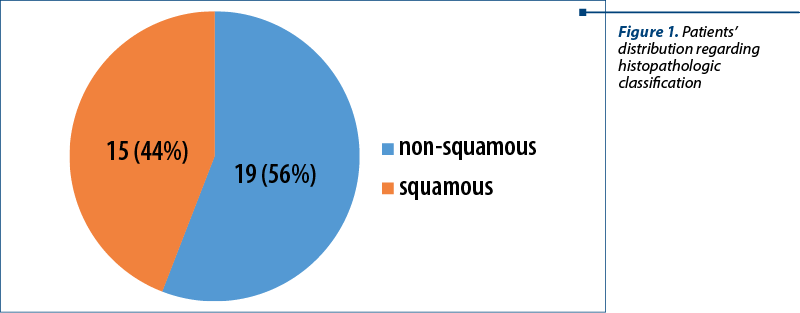 Figure 1. Patients’ distribution regarding histopathologic classification