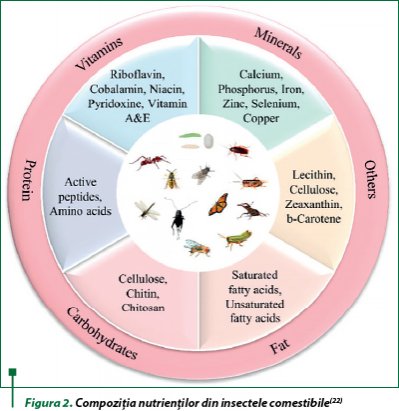Figura 2. Compoziţia nutrienţilor din insectele comestibile(22)