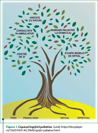 Figura 1. Copacul îngrijirii paliative. Sursă: https://docplayer.ro/156351005-%C3%AEngrijiri-paliative.html