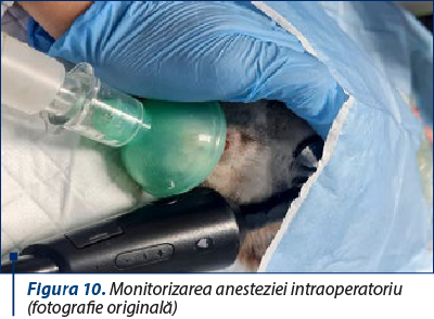 Figura 10. Monitorizarea anesteziei intraoperatoriu (fotografie originală)
