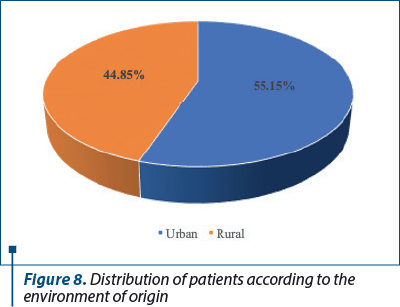 Figure 8. Distribution of patients according to the environment of origin