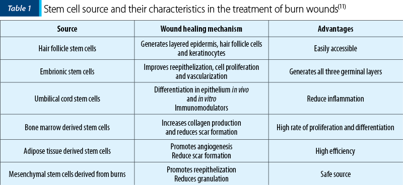 Stem cell source and their characteristics in the treatment of burn wounds(11)