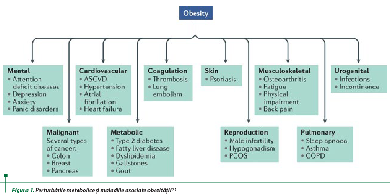 Figura 1. Perturbările metabolice şi maladiile asociate obezităţii(13)