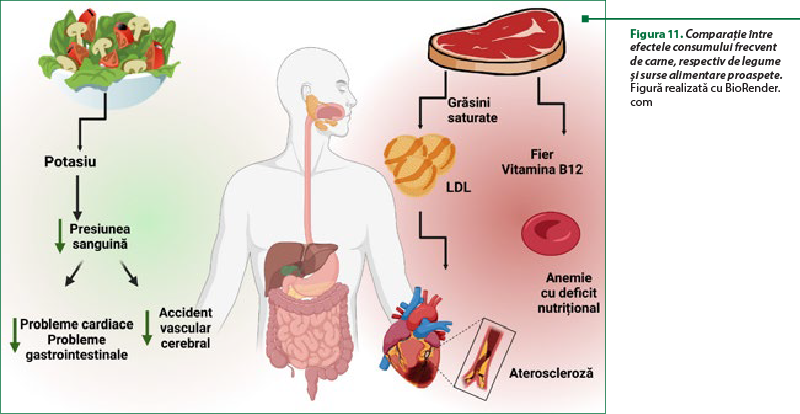 Figura 11. Comparaţie între efectele consumului frecvent de carne, respectiv de legume şi surse alimentare proaspete. Figură realizată cu BioRender.com