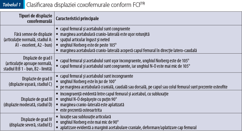 Clasificarea displaziei coxofemurale conform FCI(19)