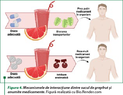 Figura 4. Mecanismele de interacţiune dintre sucul de grepfrut şi anumite medicamente. Figură realizată cu Bio.Render.com