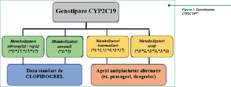 Figura 1. Genotiparea CYP2C19(27)
