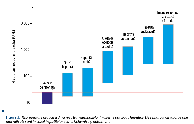 Figura 3. Reprezentare grafică a dinamicii transaminazelor în diferite patologii hepatice. De remarcat că valorile cele mai ridicate sunt în cazul hepatitelor acute, ischemice şi autoimune