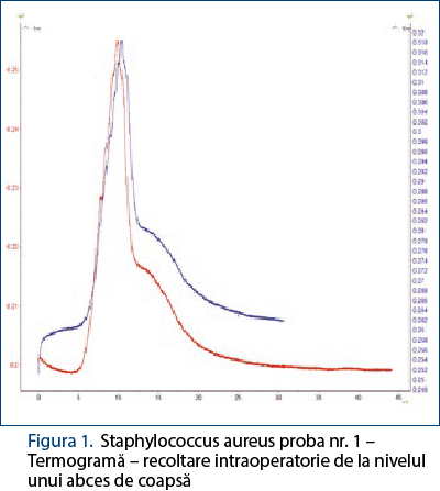 Figura 1. Staphylococcus aureus proba nr. 1 – Termogramă – recoltare intraoperatorie de la nivelul unui abces de coapsă