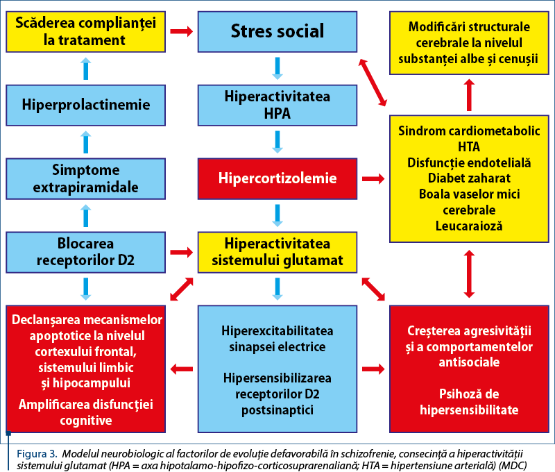 Figura 3. Modelul neurobiologic al factorilor de evoluţie defavorabilă în schizofrenie, consecinţă a hiperactivităţii sistemului glutamat (HPA = axa hipotalamo-hipofizo-corticosuprarenaliană; HTA = hipertensiune arterială) (MDC)