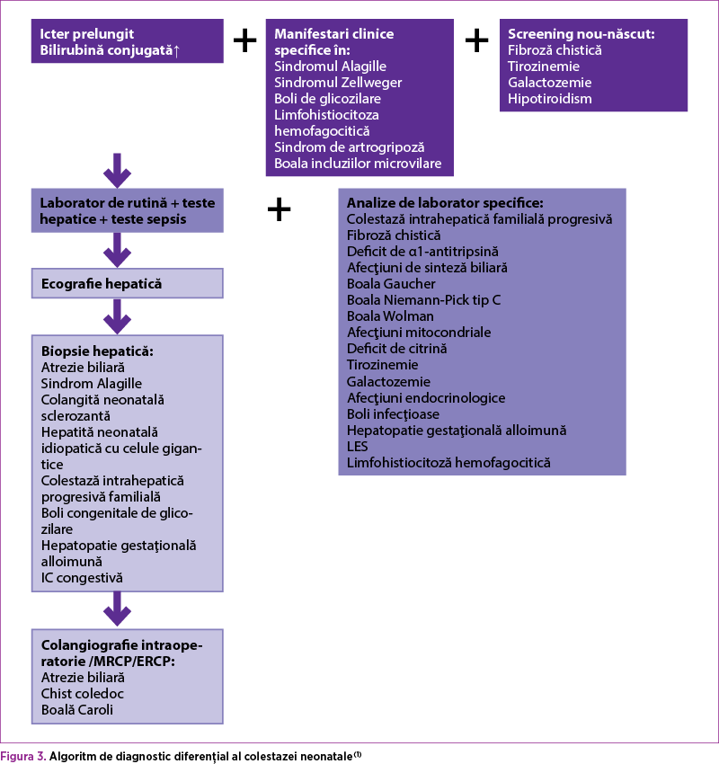 Figura 3. Algoritm de diagnostic diferenţial al colestazei neonatale(1)