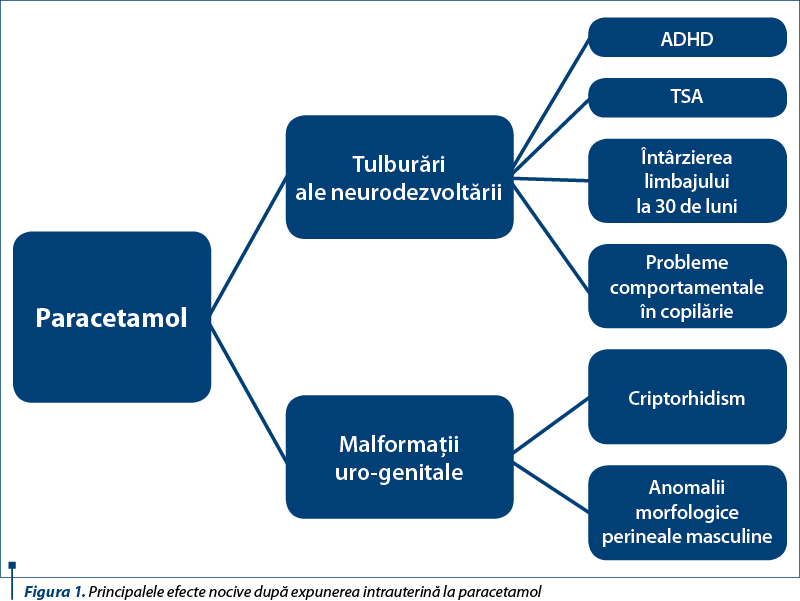 Figura 1. Principalele efecte nocive după expunerea intrauterină la paracetamol 