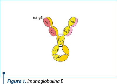 Figura 1. Imunoglobulina E