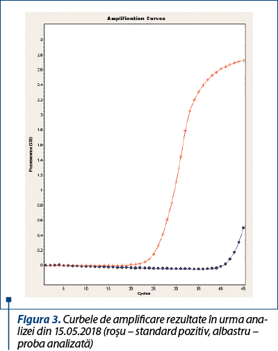 Figura 3. Curbele de amplificare rezultate în urma ana­li­zei din 15.05.2018 (roşu – standard pozitiv, albastru – proba analizată)