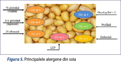Figura 5. Principalele alergene din soia