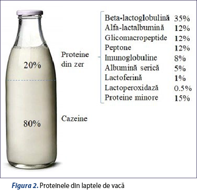 Figura 2. Proteinele din laptele de vacă