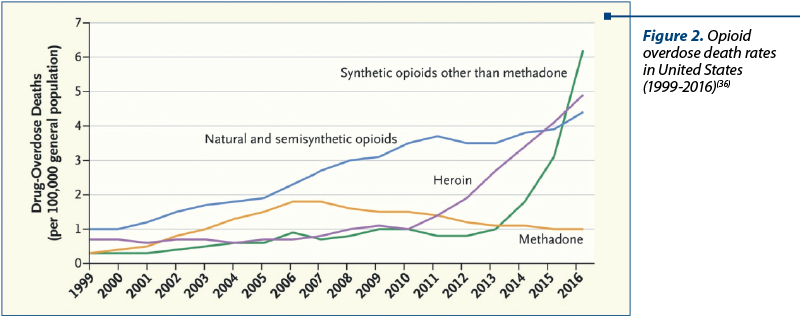 Figure 2. Opioid overdose death rates 