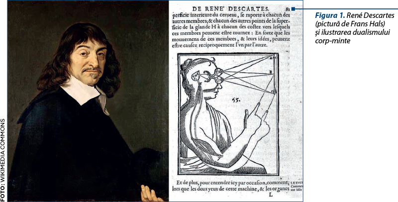 Figura 1. René Descartes (pictură de Frans Hals) şi ilustrarea dualismului corp‑minte