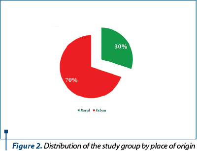 Figure 2. Distribution of the study group by place of origin 