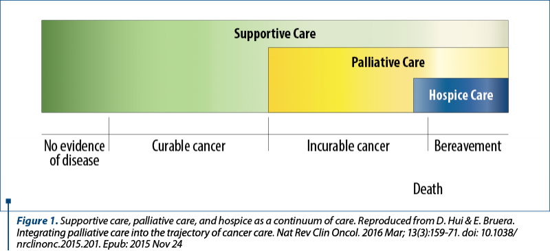 Figure 1. Supportive care, palliative care, and hospice as a continuum of care. Reproduced from D. Hui & E. Bruera. Integrating palliative care into the trajectory of cancer care. Nat Rev Clin Oncol. 2016 Mar; 13(3):159-71. doi: 10.1038/nrclinonc.2015.201. Epub: 2015 Nov 24