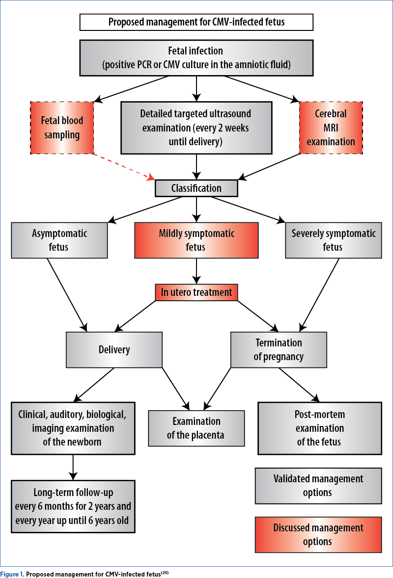 Figure 1. Proposed management for CMV-infected fetus(20)